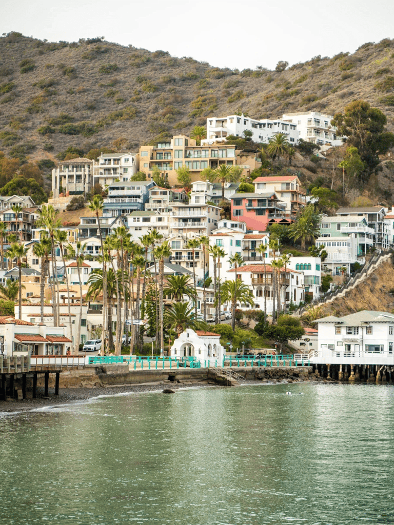 Colorful hillside houses overlooking the ocean, vibrant coastal scenery, and palm trees in a seaside town.