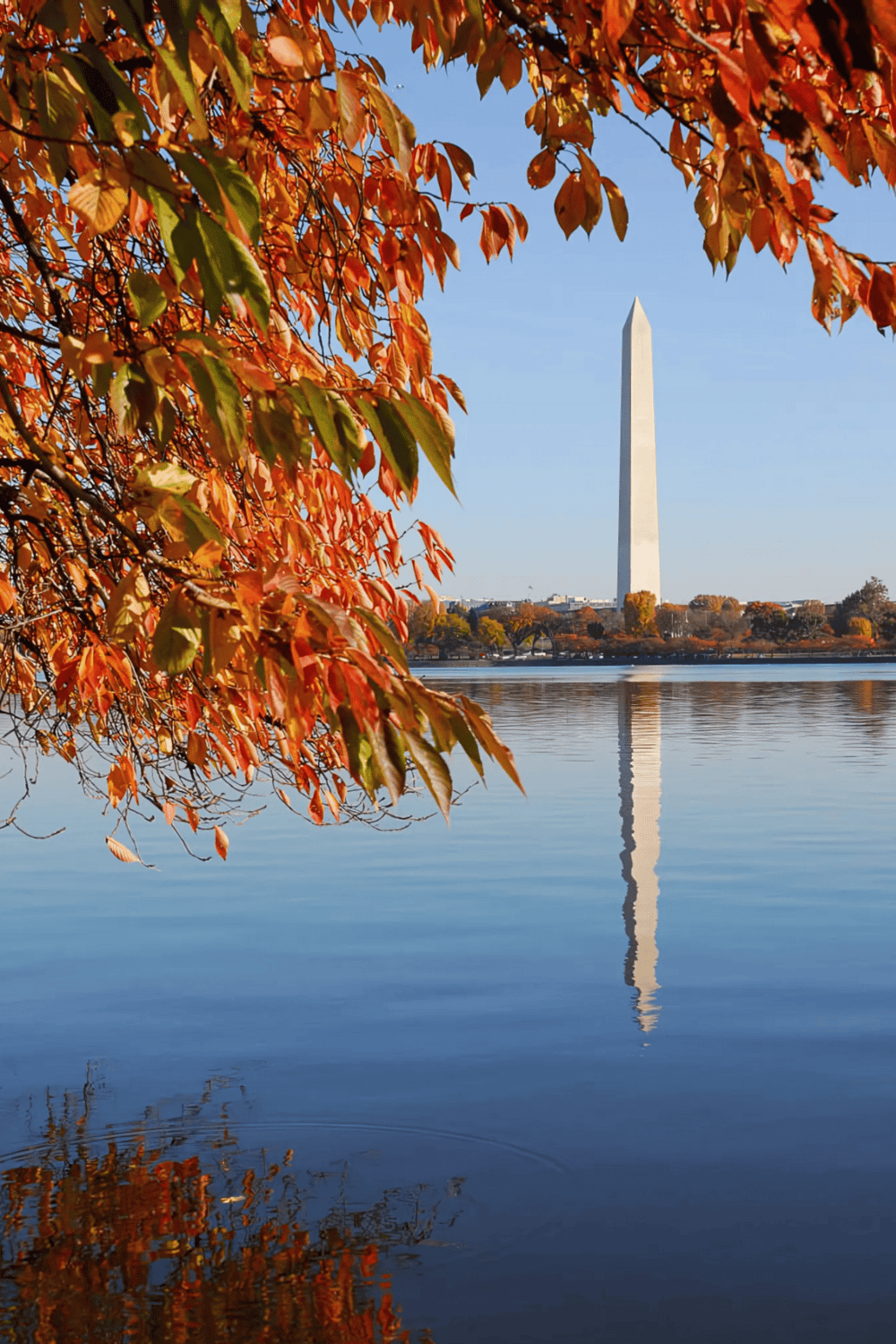Washington Monument reflecting in the water during autumn with colorful leaves in the foreground.
