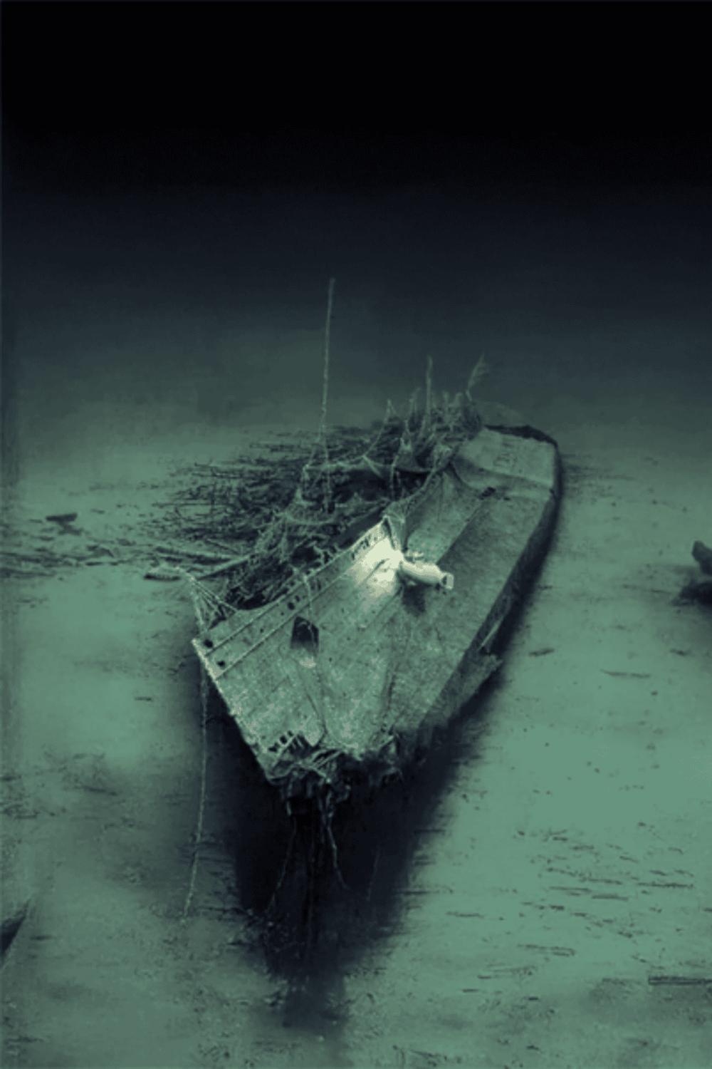 Wrecked boat on ocean floor with debris and spider webs, underwater shipwreck exploration scene.