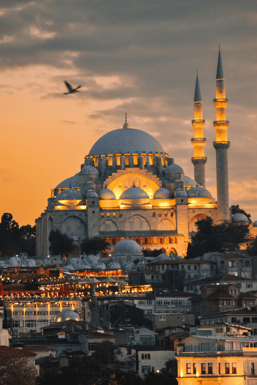 Impressive mosque at sunset with minarets, cityscape, and soaring bird, highlighting Istanbul travel and mosque tourism.