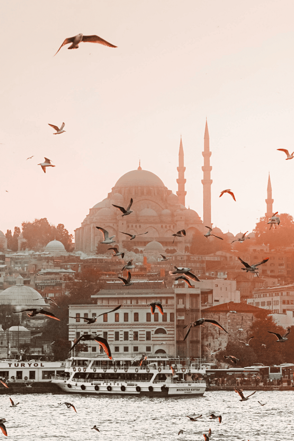 Birds flying over Istanbul cityscape with Hagia Sophia in the background, showcasing travel and sightseeing opportunities.
