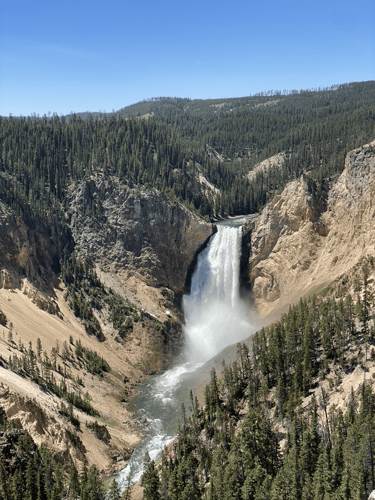 Vivid image of Yellowstone Falls in Grand Canyon of Yellowstone, showcasing stunning waterfalls and forest landscape.