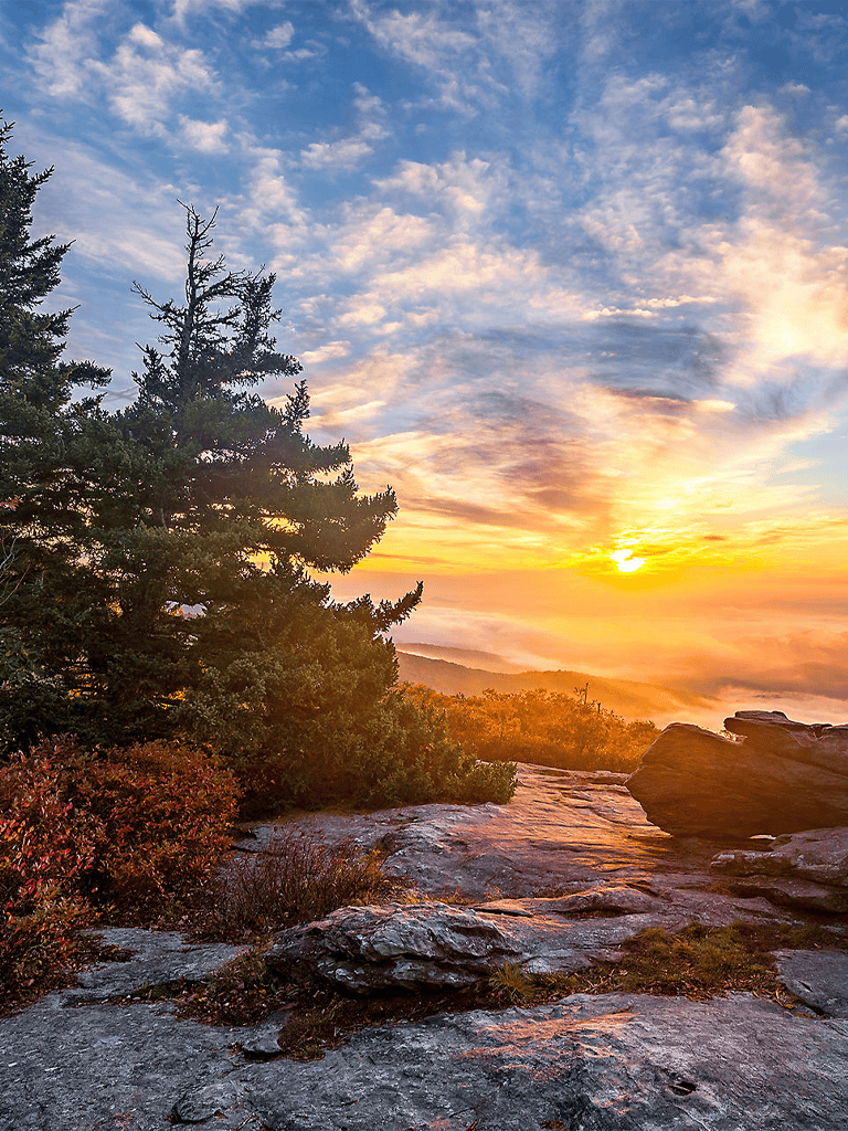 Serene mountain sunrise over rocky terrain and pine trees, perfect for outdoor adventure and nature exploration.