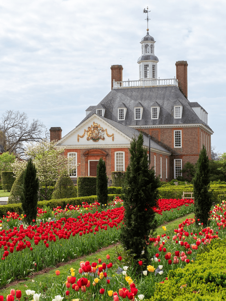 Colorful tulip garden outside historic brick mansion with tower, spring season, QuestForDirections location.