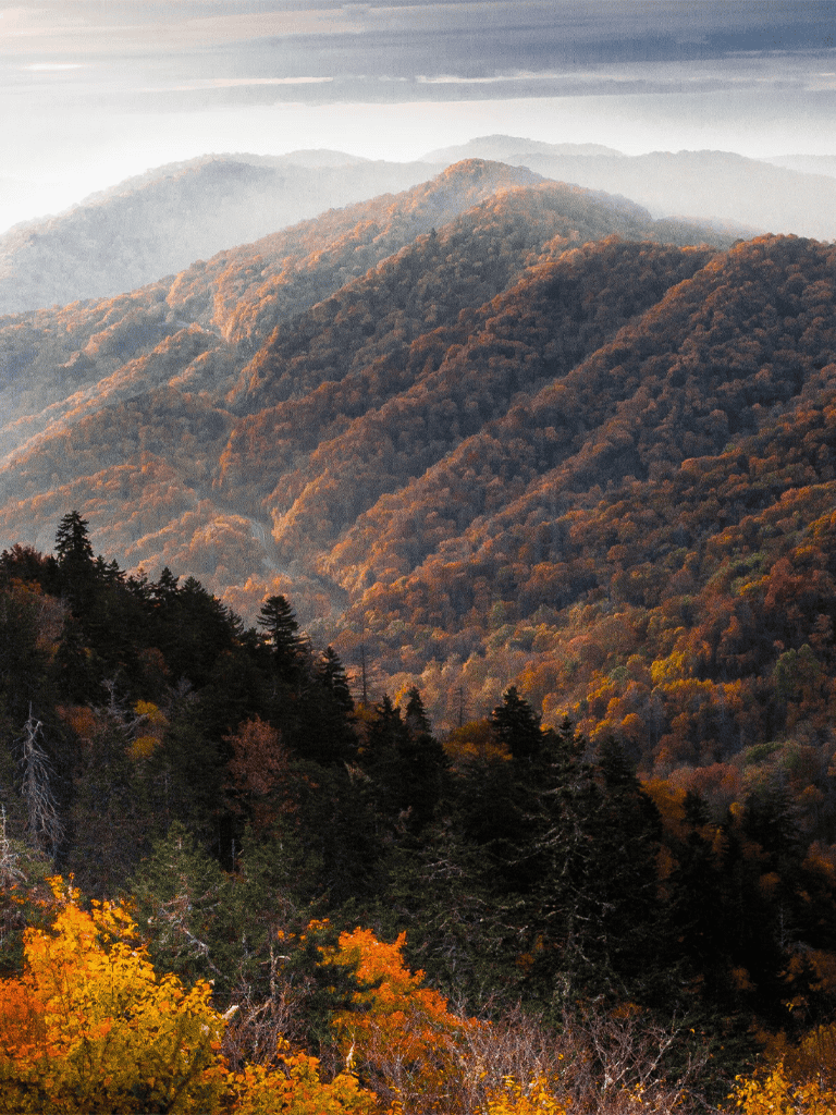 Vast mountain landscape with colorful autumn foliage and foggy peaks, perfect for outdoor adventure and nature exploration.