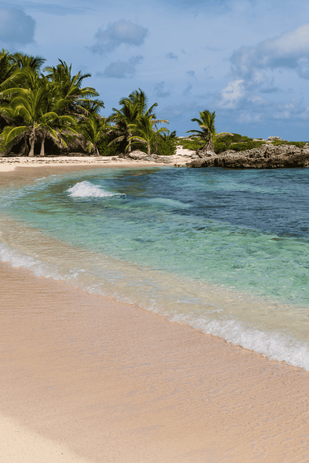 Tranquil tropical beach with palm trees, clear blue water, and soft sand, perfect for travel directions.
