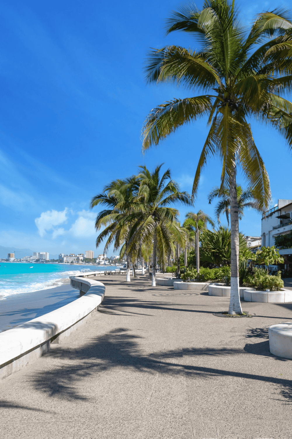 Vibrant tropical beach with palm trees and ocean view, perfect for travel planning and vacation destinations.