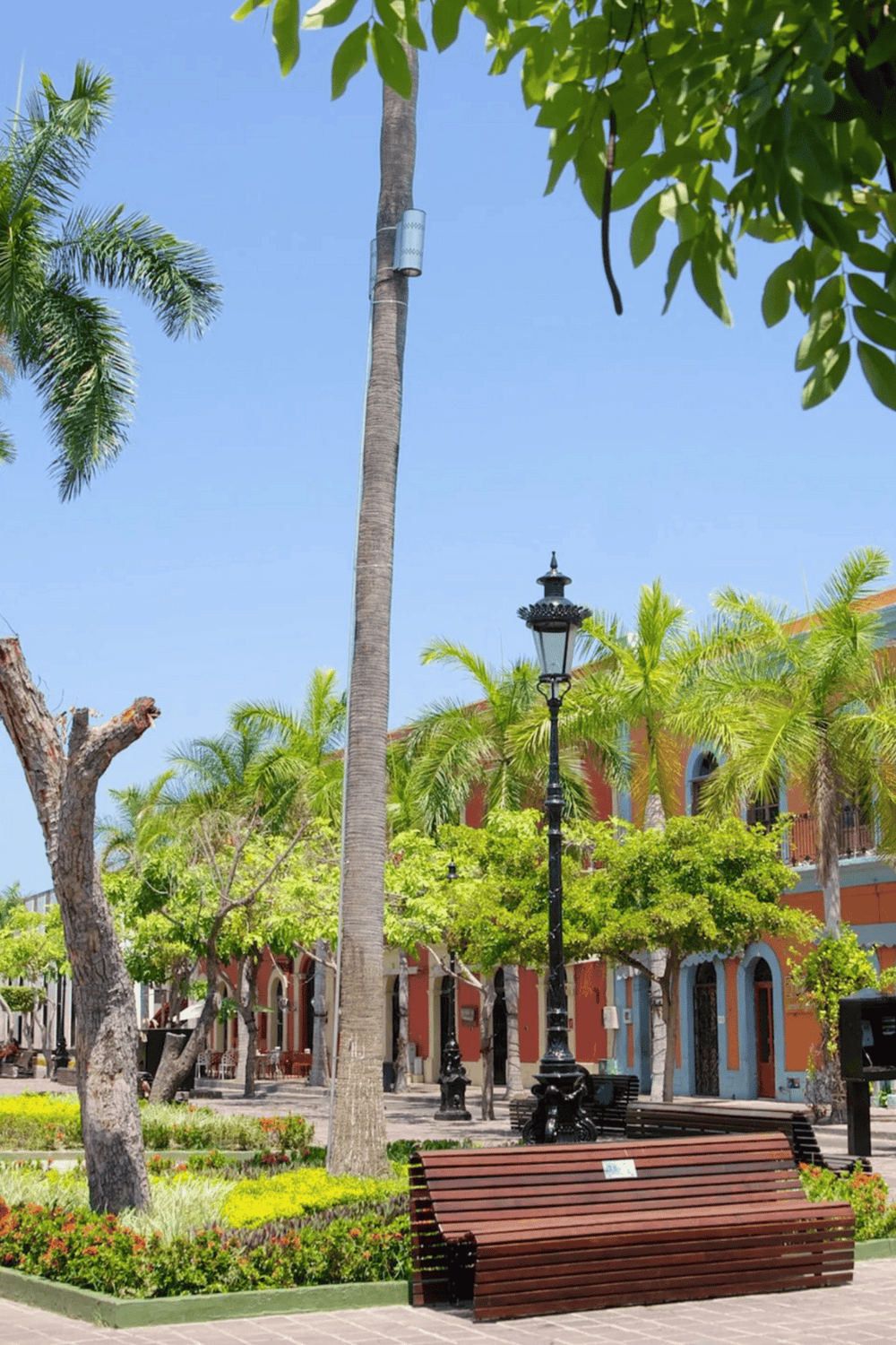 Colorful outdoor town square with palm trees, benches, and vintage street lamps, perfect for relaxing and sightseeing.