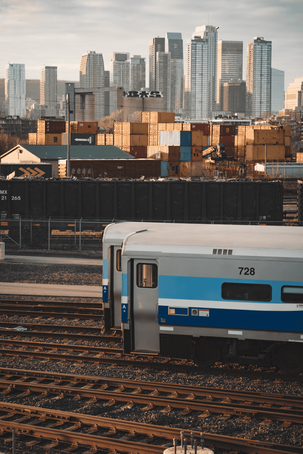 Cargo train with city skyline in background, transportation logistics, freight train, urban shipping, industrial zone.