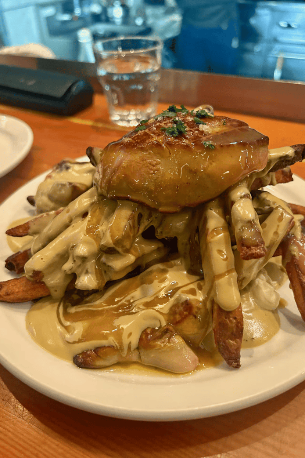 Crispy French Fries topped with gravy, cheese, and roasted chicken at Quest For Directions restaurant.
