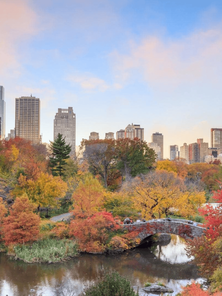 Vibrant fall foliage in Central Park with city skyline in the background, showcasing outdoor urban sightseeing and autumn colors.