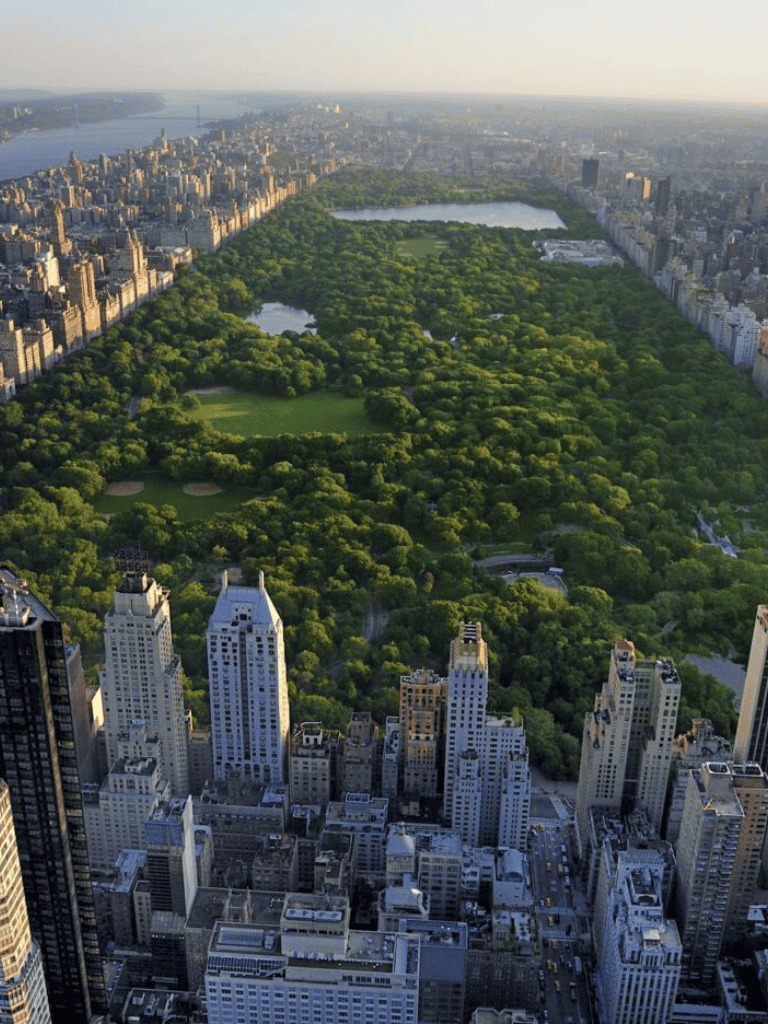 Lush Central Park in Manhattan with iconic skyline and cityscape view at sunset.