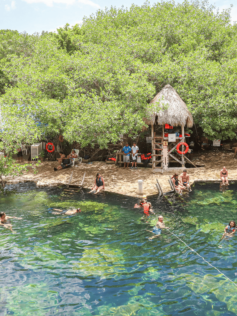 Lounging and swimming in the clear waters of a tropical mangrove bay at QuestForDirections.