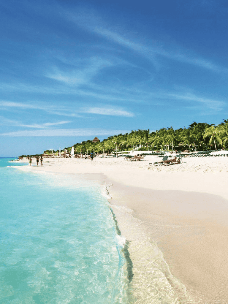 Pristine Caribbean beach with turquoise waters and lush palm trees, perfect for tropical vacations.