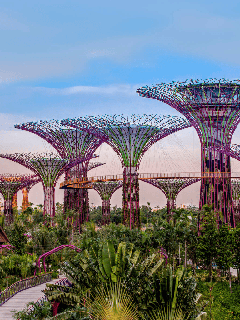 Colorful Gardens by the Bay in Singapore, showcasing iconic supertrees and lush greenery.
