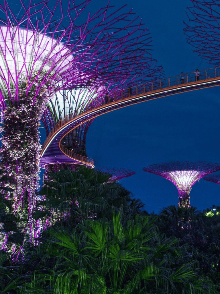 Vibrant illuminated Gardens by the Bay with Supertree Grove in Singapore at night.