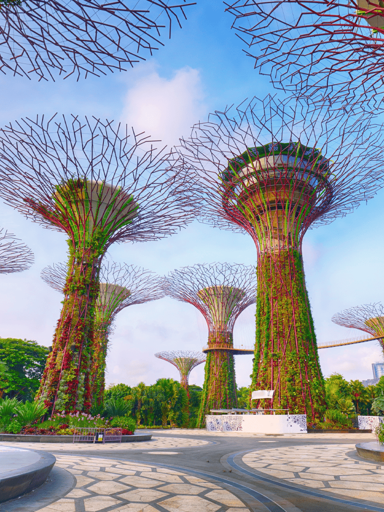 Lush green and colorful Supertrees at Gardens by the Bay, Singapore, under a blue sky.