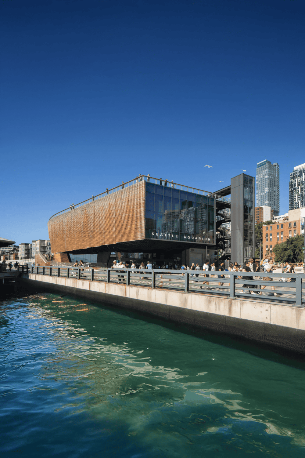 Modern Seattle Aquarium building on waterfront with city skyline behind, visitors enjoying sunny day near water.