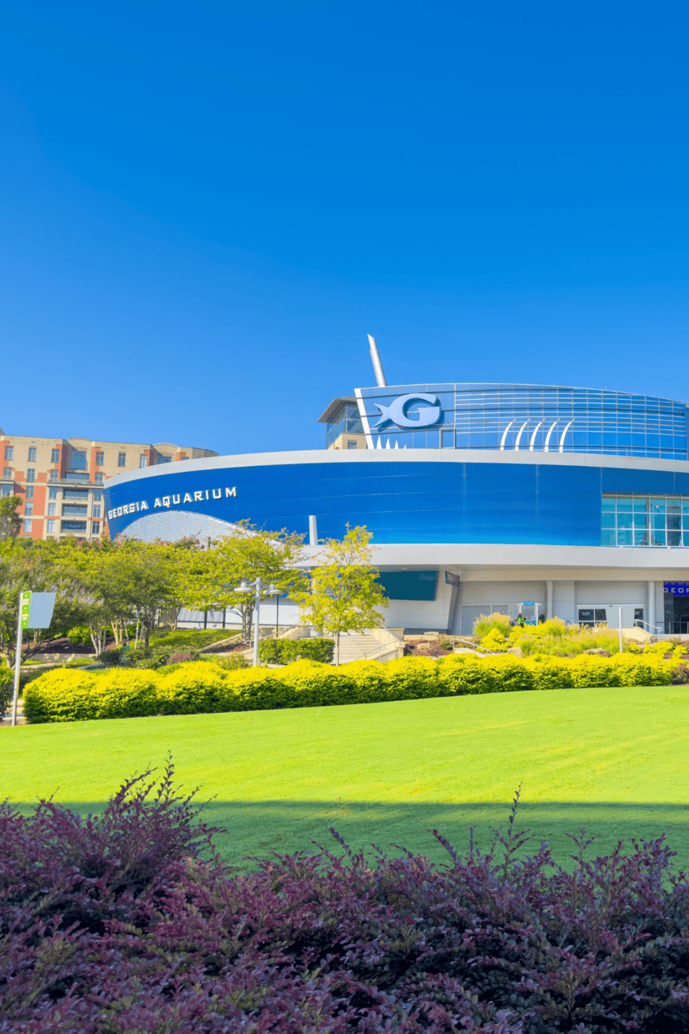 Modern Georgia Aquarium building with lush landscaping and bright blue sky.