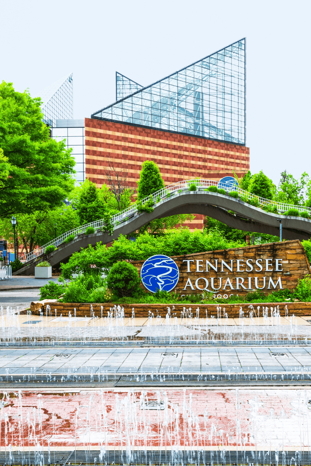 Vibrant Tennessee Aquarium entrance with lush greenery and modern architecture in Chattanooga.