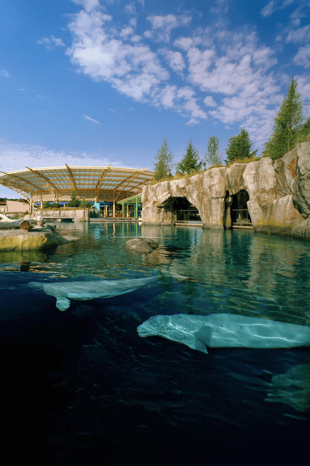 1. Modern zoo exhibit with aquatic animals and rocky landscape, under a blue sky.