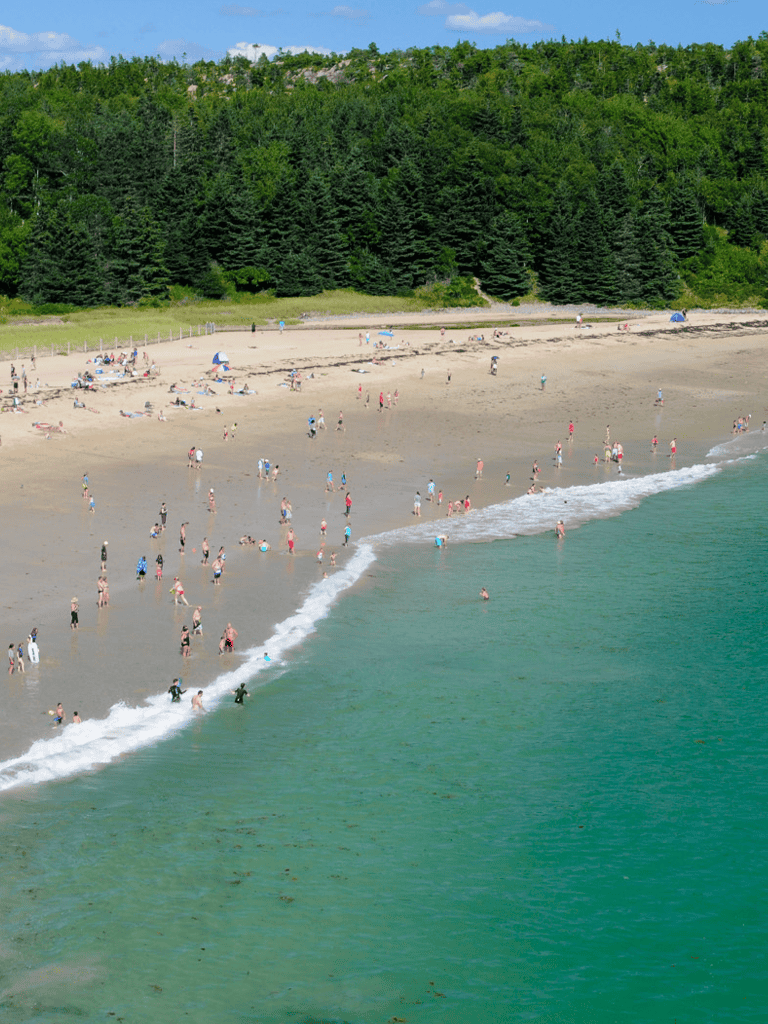 Crowded beach with visitors, umbrellas, and green forest backdrop.