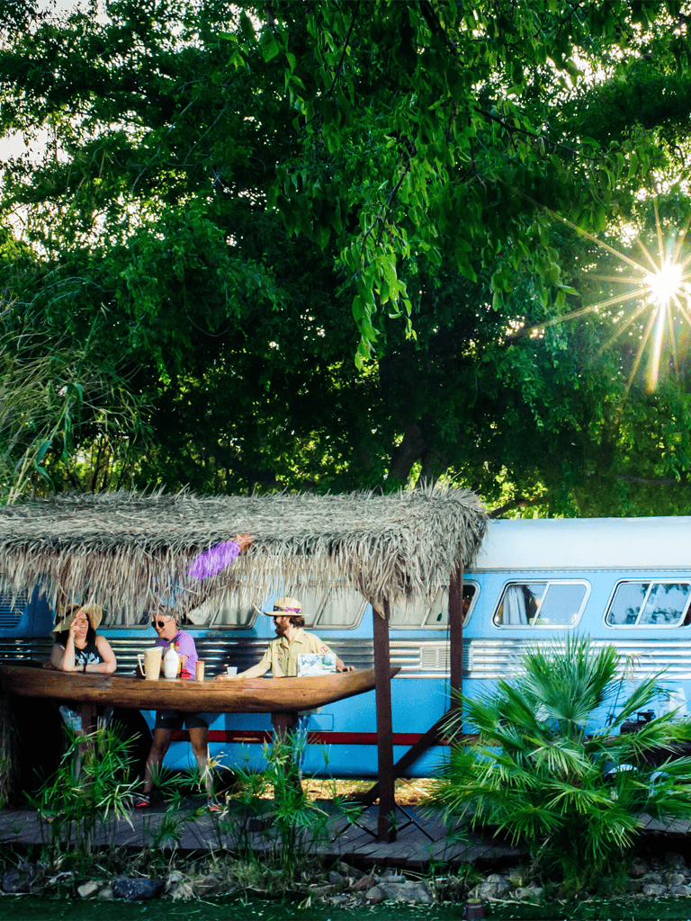 Enjoying tropical scenery at QuestForDirections outdoor van park with lush greenery and relaxing vibe.