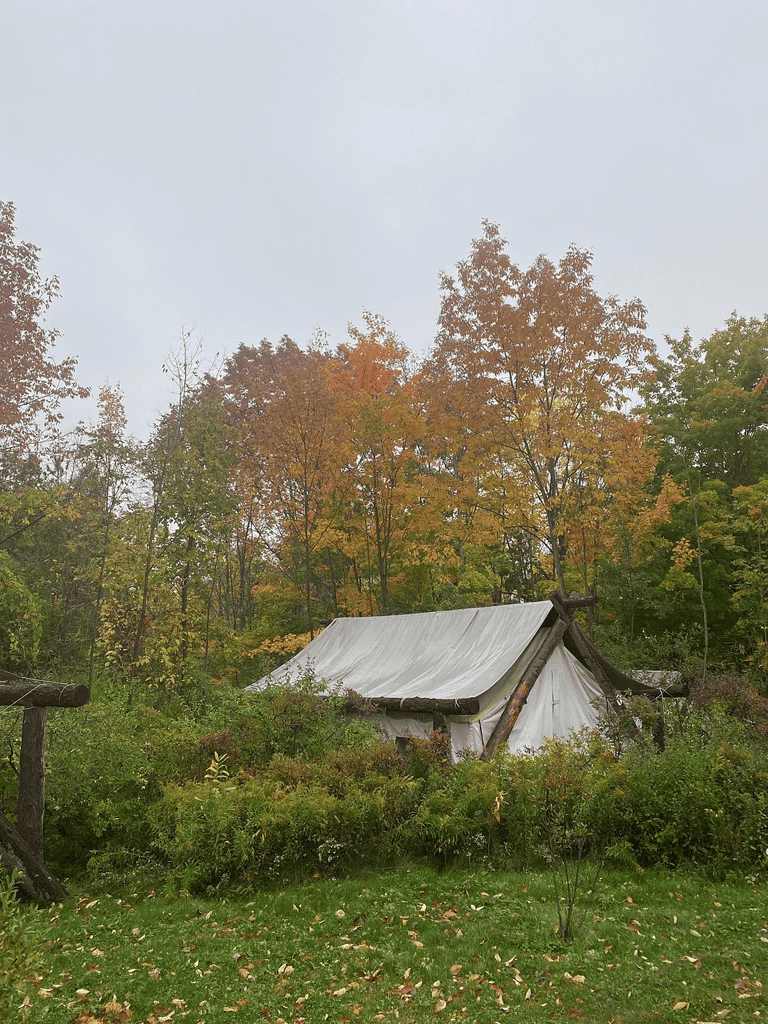 Rustic outdoor tent amidst fall foliage, perfect for nature adventures and camping experiences.