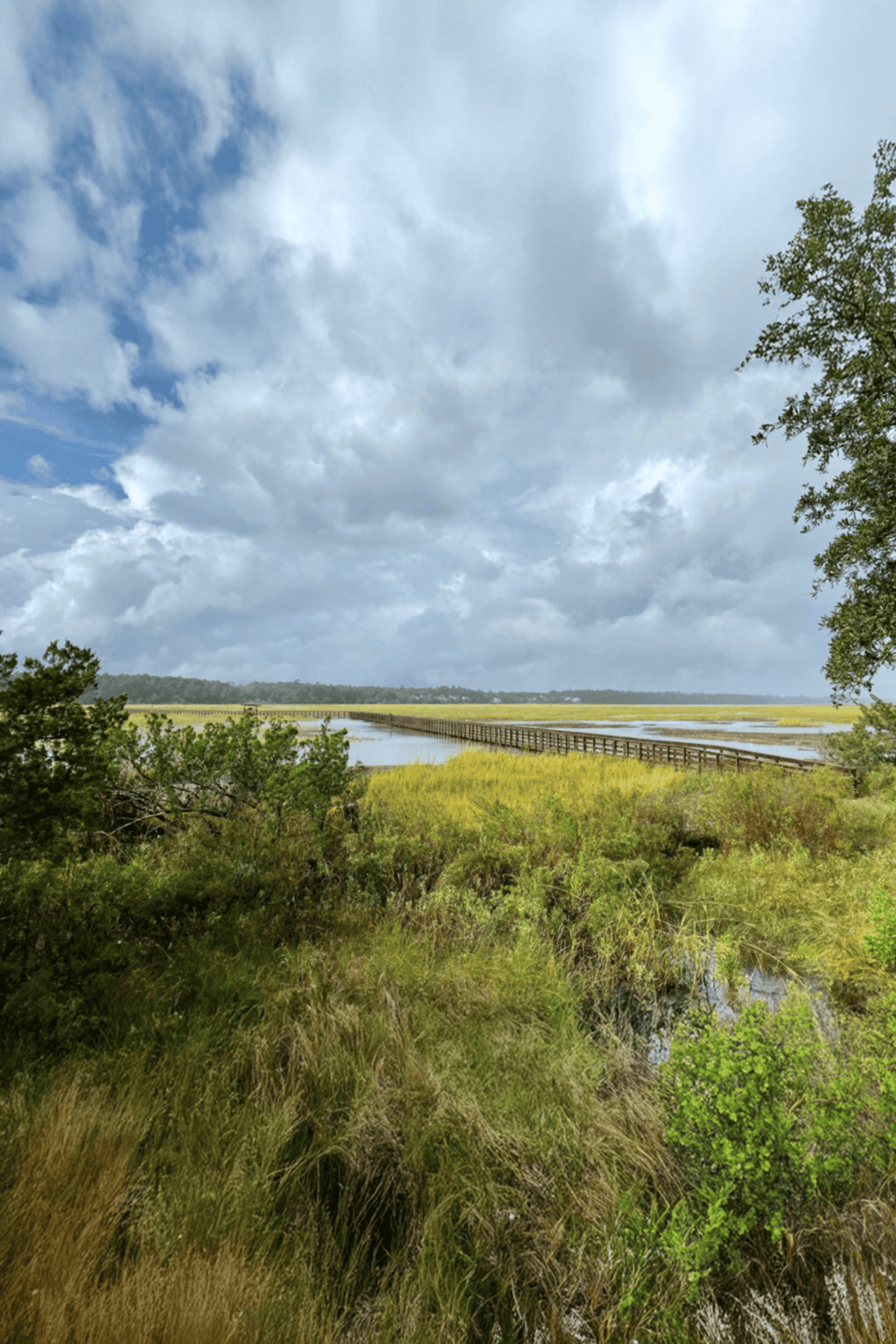 Serene marshland with wooden boardwalk, lush greenery, and cloudy blue sky, perfect for nature exploration and outdoor adventures.