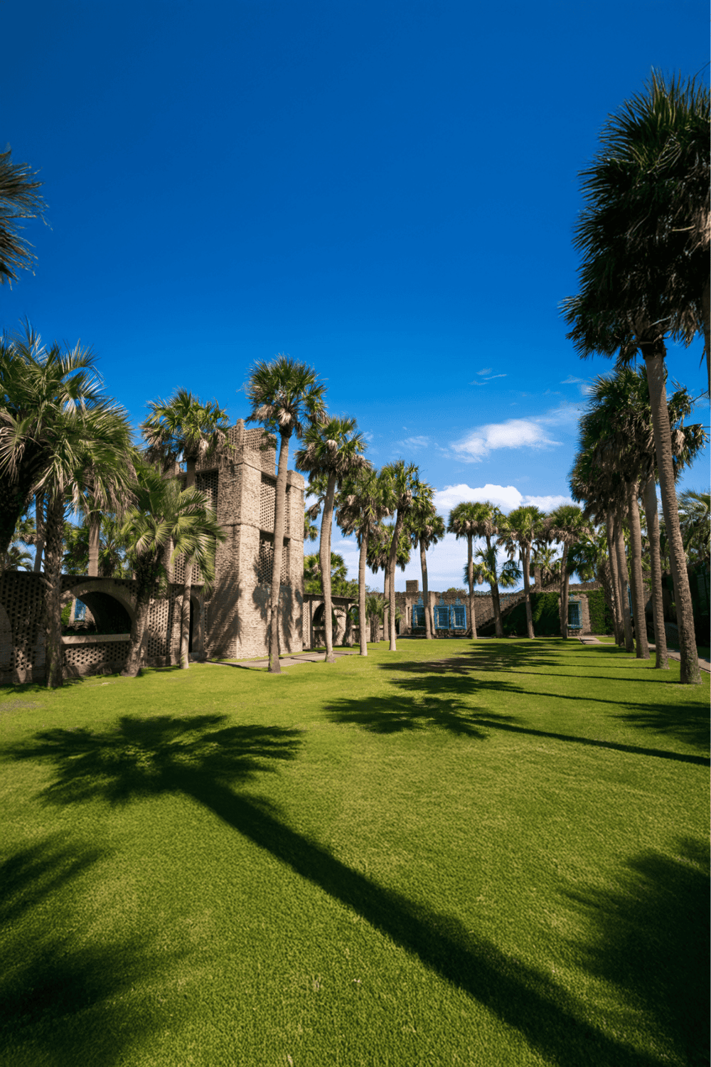 Lush tropical landscape with palm trees and historic structures under a bright blue sky.