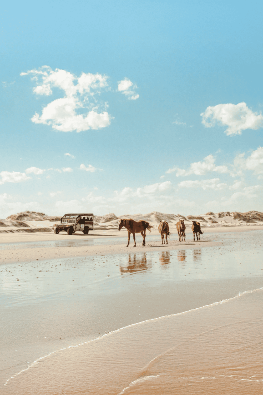 Horse caravan on beach under blue sky with clouds, scenic travel adventure.