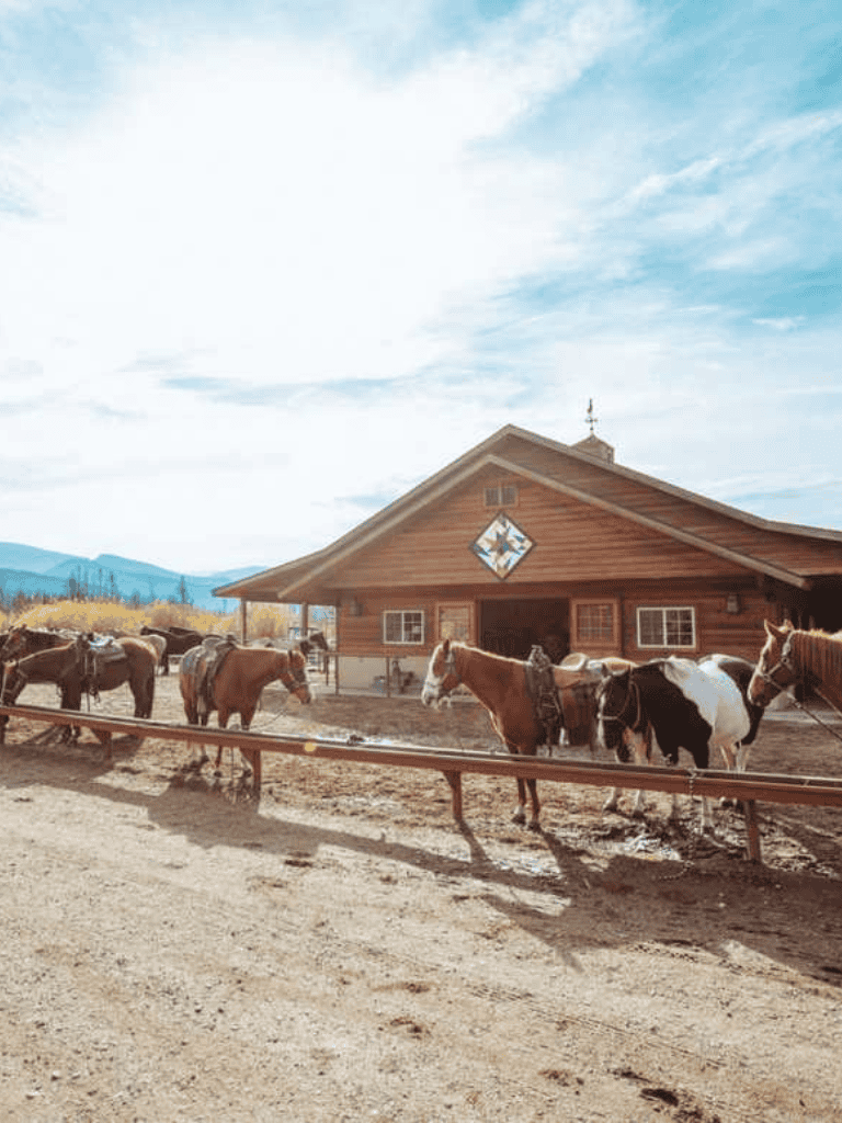 Horse stable with horses in a rural farm setting, under clear blue sky.