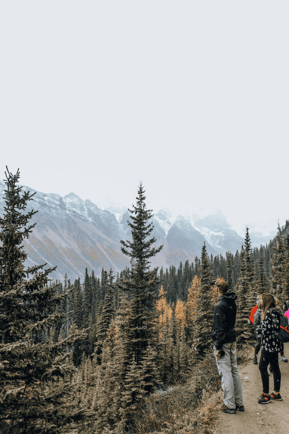 Hiking in mountain forest with snow-capped peaks in the background, outdoor adventure, scenic nature explore.