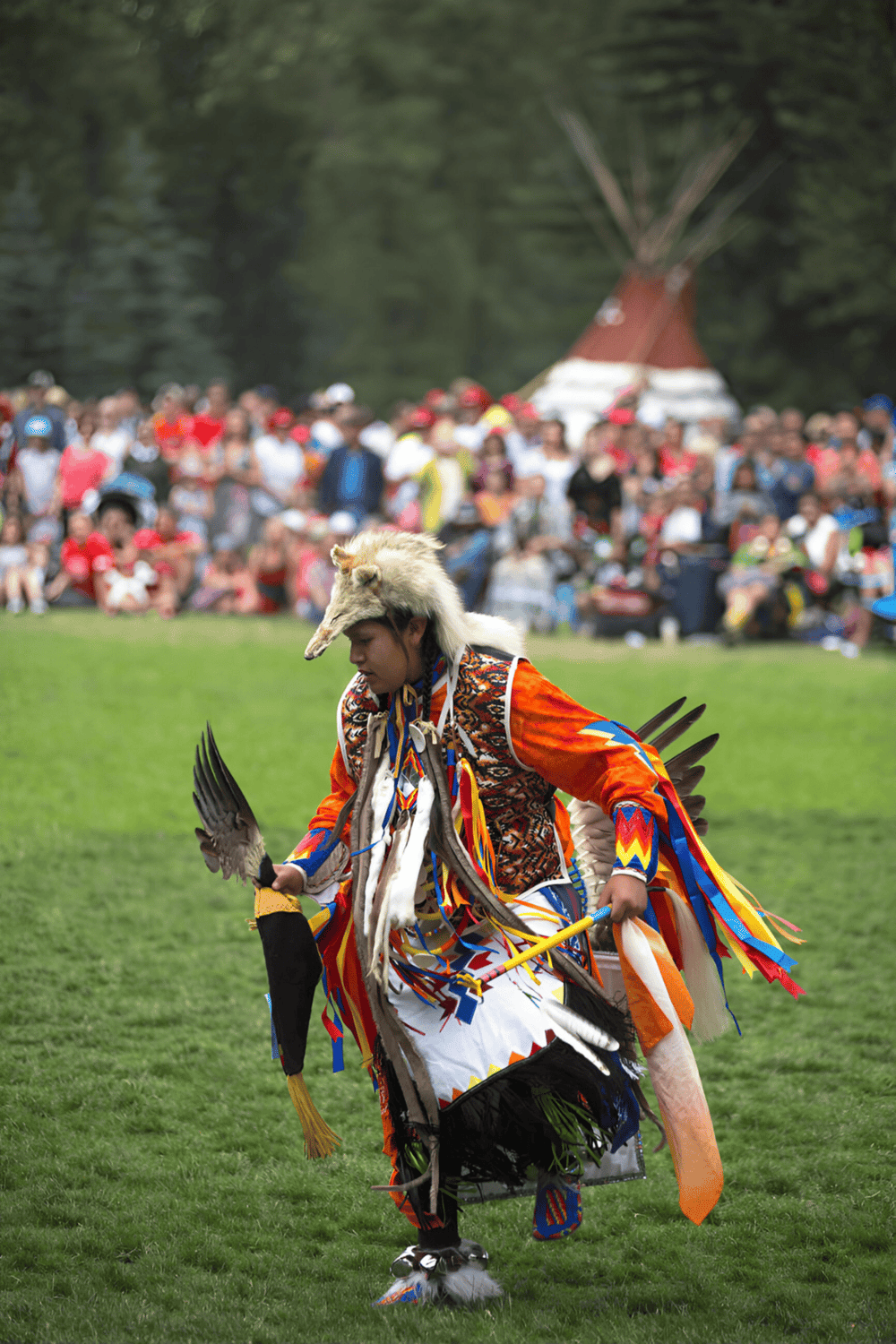 1. Native American dancer in traditional regalia performing at cultural festival.