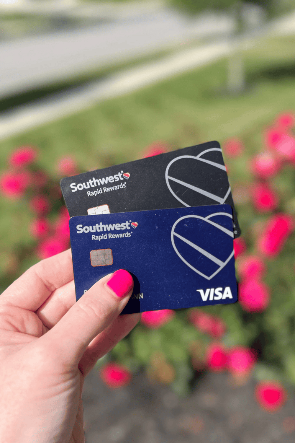1. Close-up of Southwest Airlines Visa credit cards held in hand against vibrant pink flowers background.