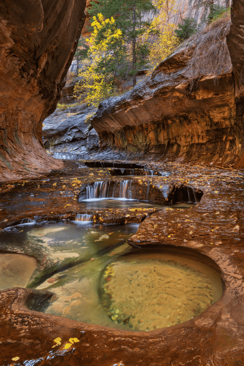 Majestic canyon with small waterfalls and vibrant fall foliage in a scenic outdoor setting.