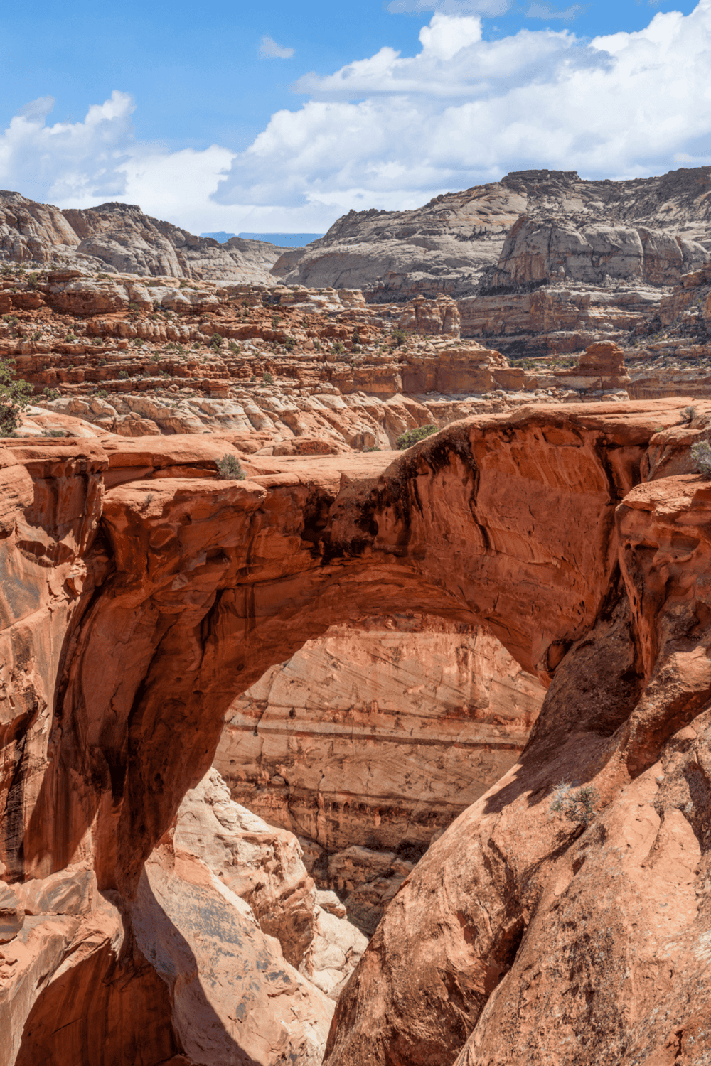 Vibrant red rock canyon with natural arch formations in desert landscape, perfect for outdoor adventures and sightseeing.
