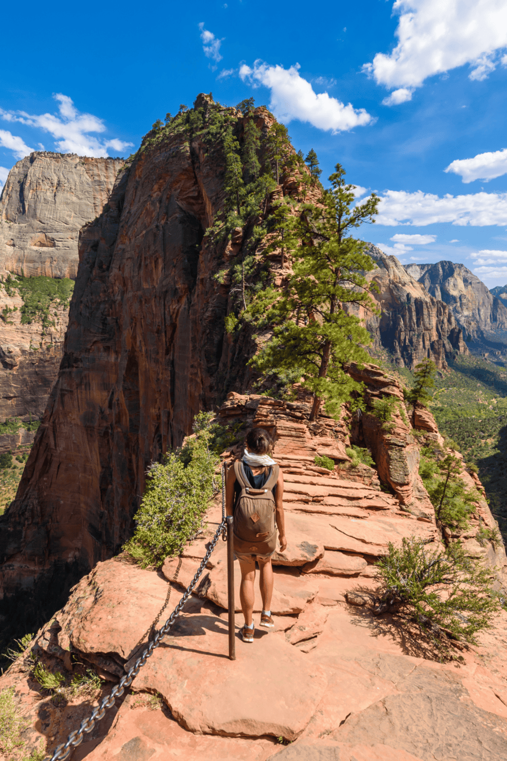 Beautiful canyon hiking trail at Zion National Park with stunning cliffs and scenic views.
