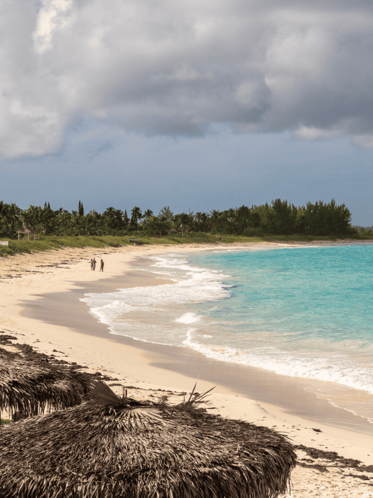 Relaxing Caribbean beach with turquoise waters and palm trees, perfect for vacation planning and travel inspiration.