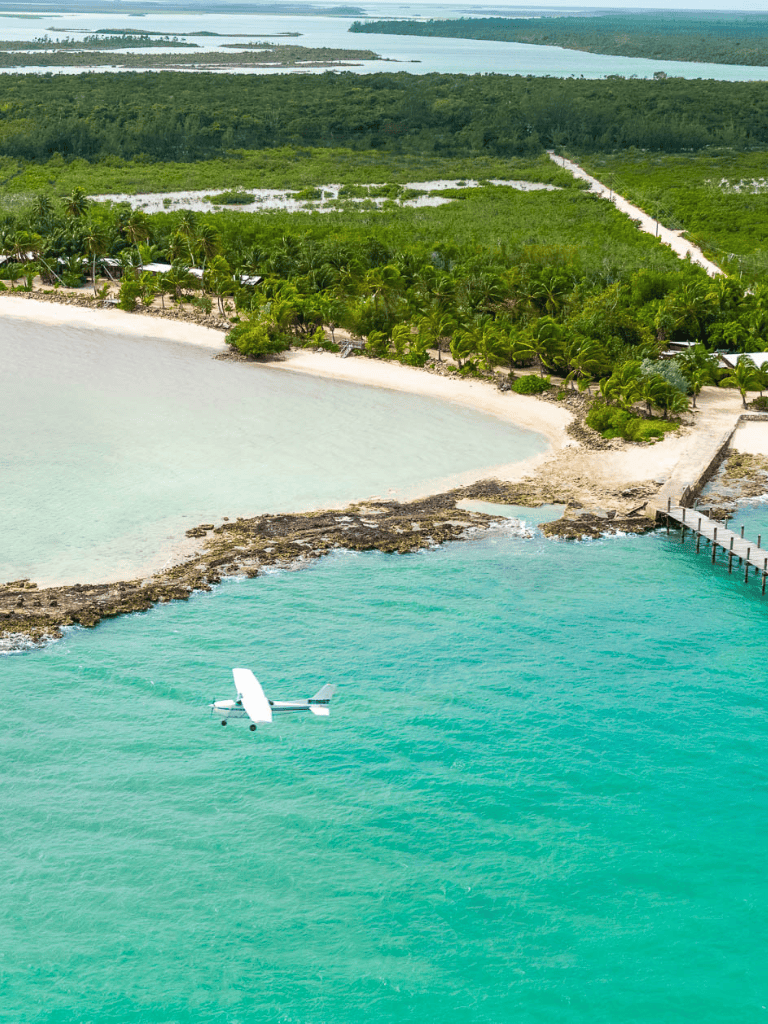 Pristine beach with lush palm trees, tropical waters, and a seaplane landing on turquoise sea.
