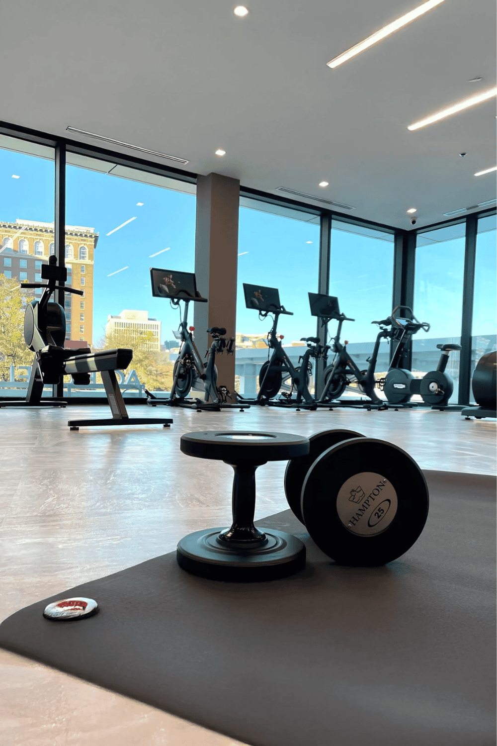 1. Modern gym with exercise bikes, weights, and large windows with city views.