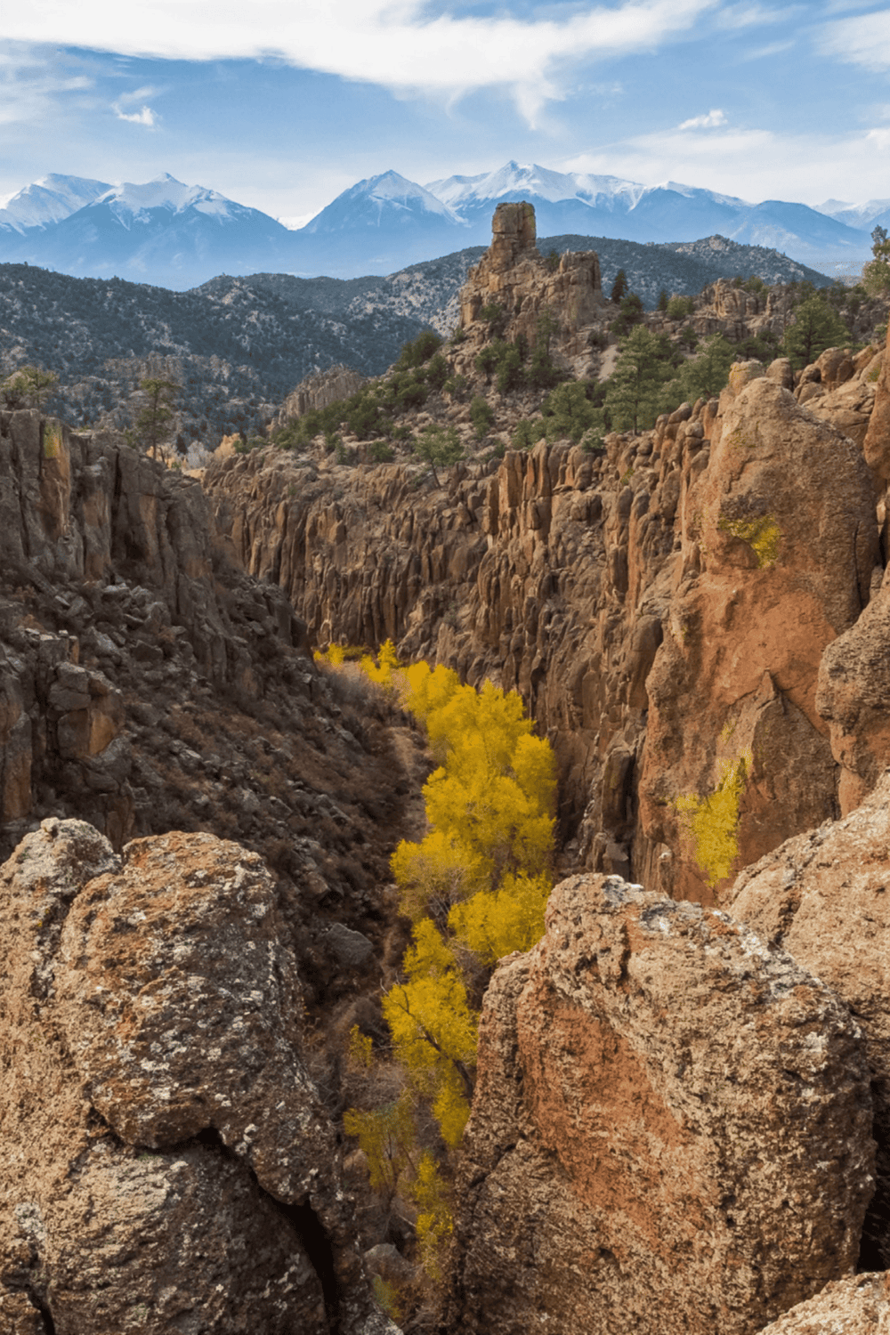 Vibrant yellow trees in a rugged canyon with alpine mountains in the background, showcasing scenic Colorado outdoor adventure.