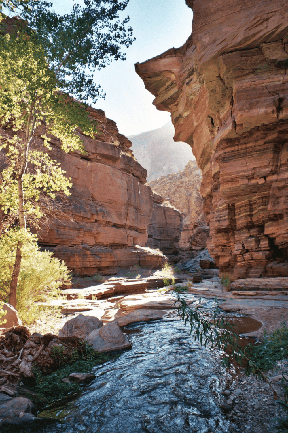 Vast red canyon with rugged cliffs and flowing stream, Nature adventure, hiking, outdoor exploration.