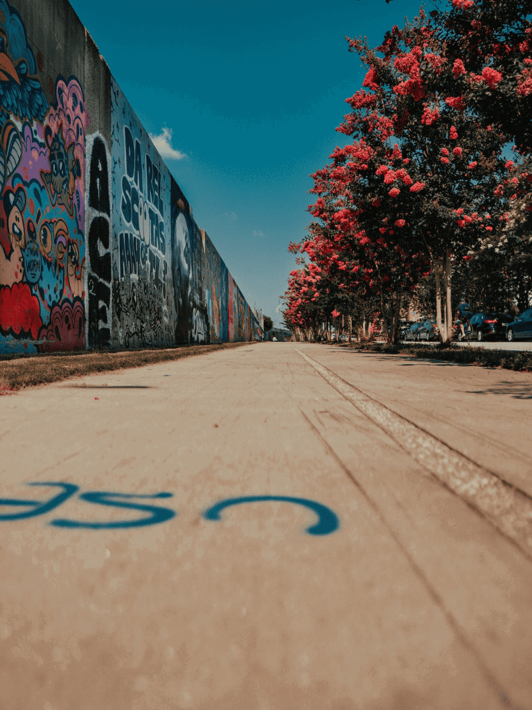 Colorful graffiti mural along city sidewalk with blooming pink trees and parked cars.