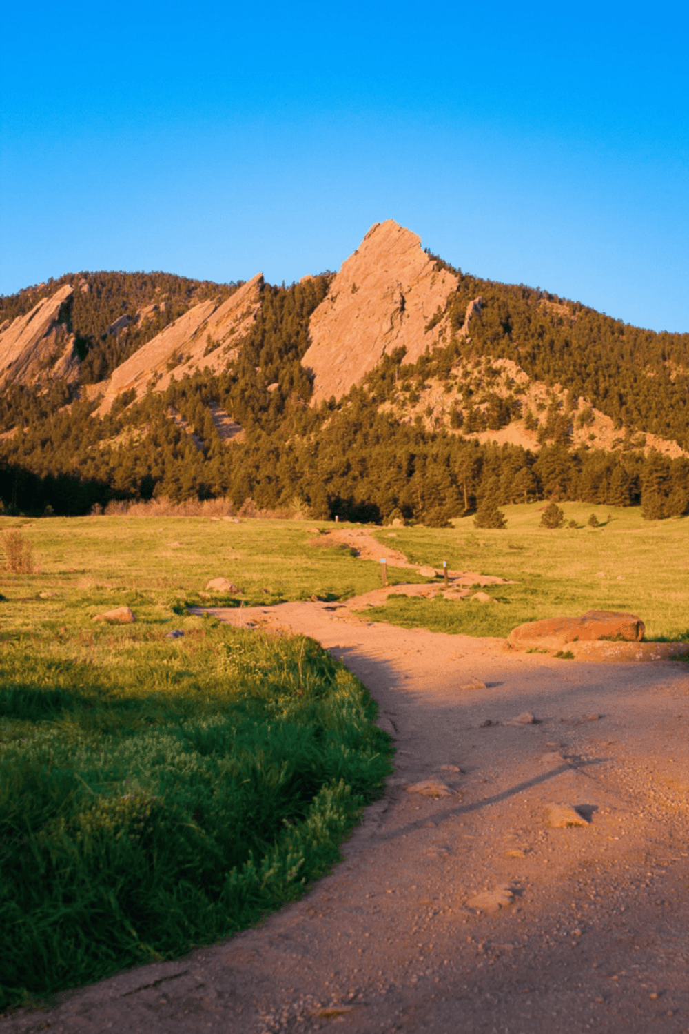 Serene mountain trail leading to rocky peaks in colorful outdoor landscape.