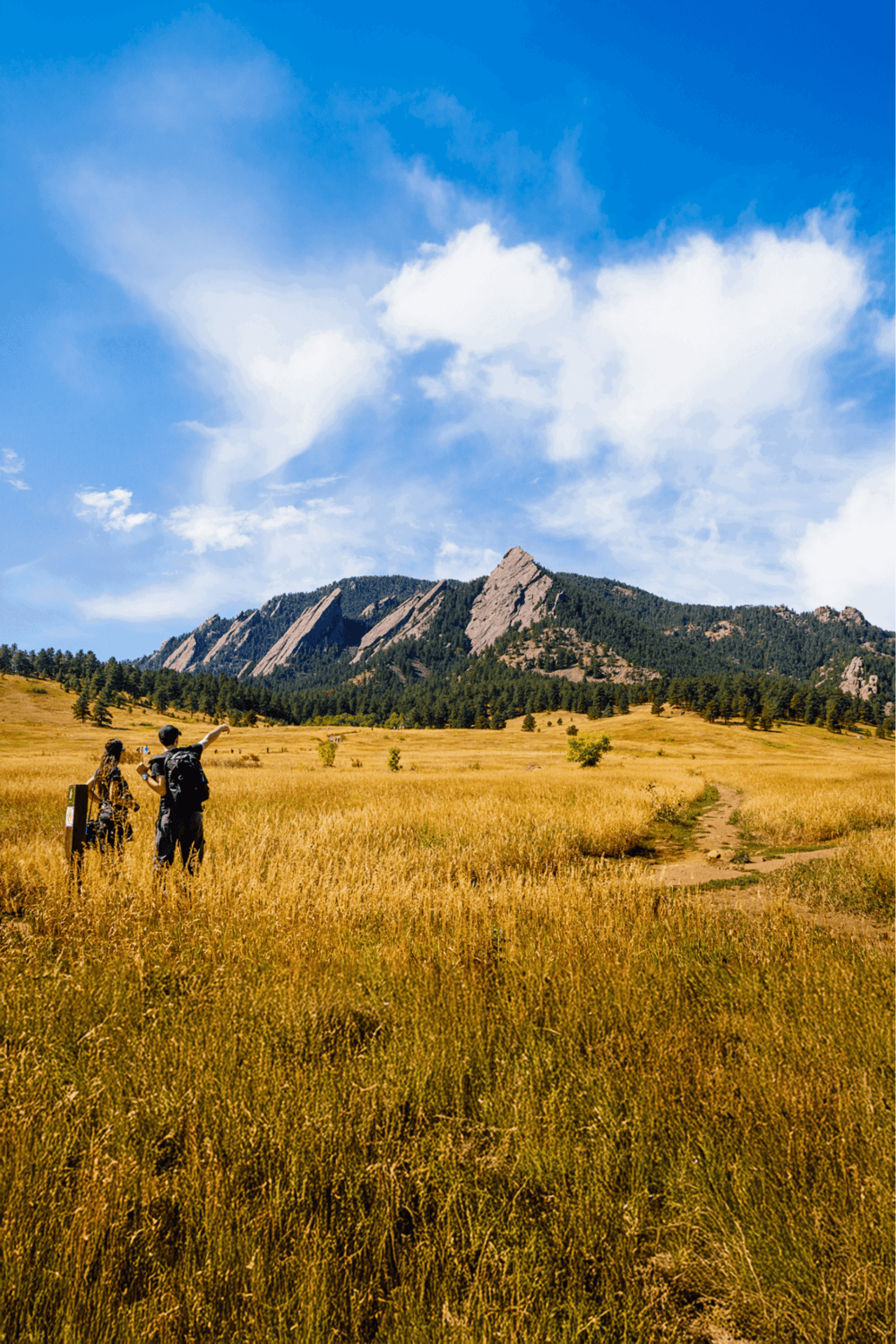 Scenic mountain landscape with hikers trekking through golden fields, perfect for outdoor adventure and navigation.