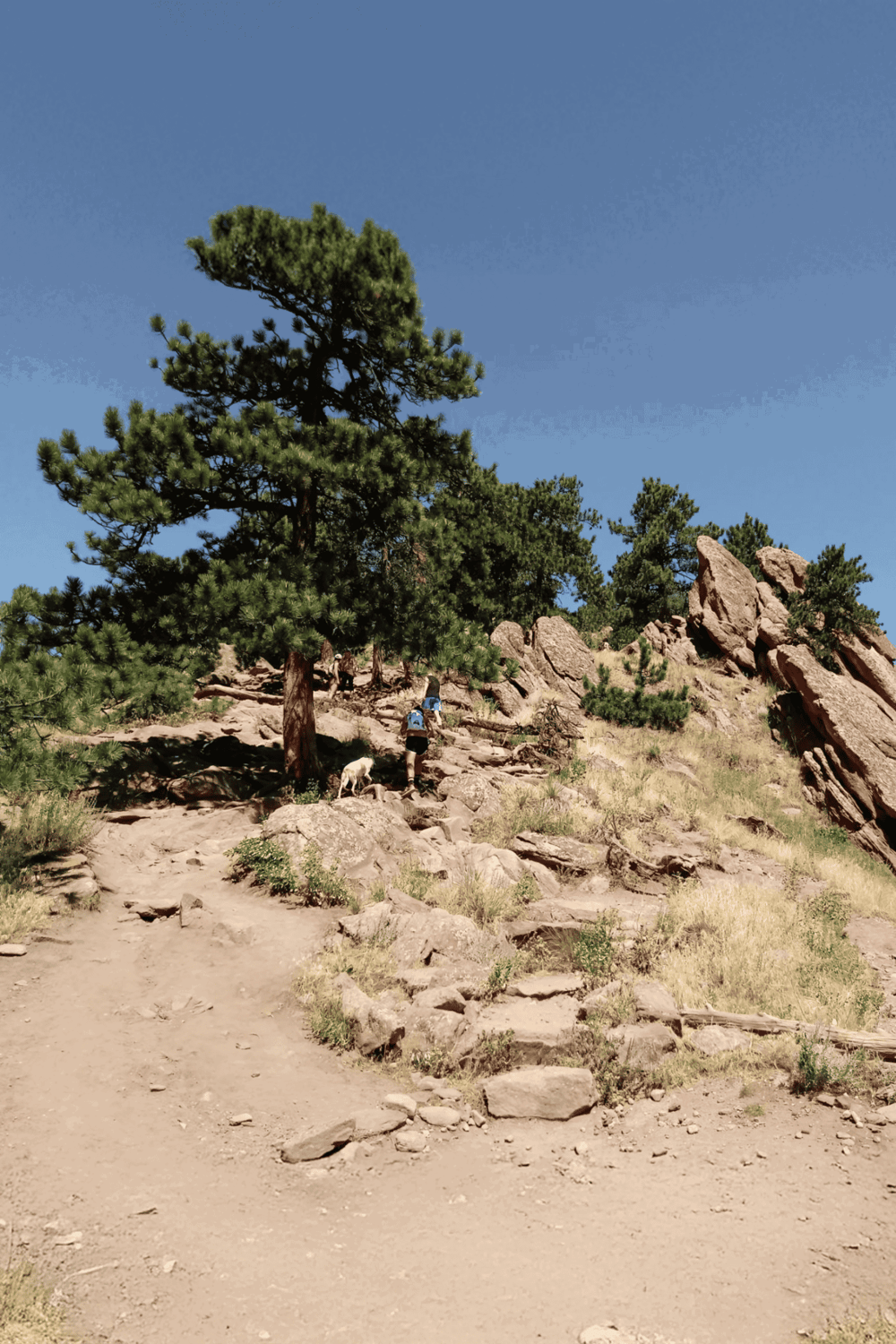 Hiking trail in a scenic mountain landscape with trees and rocky terrain.