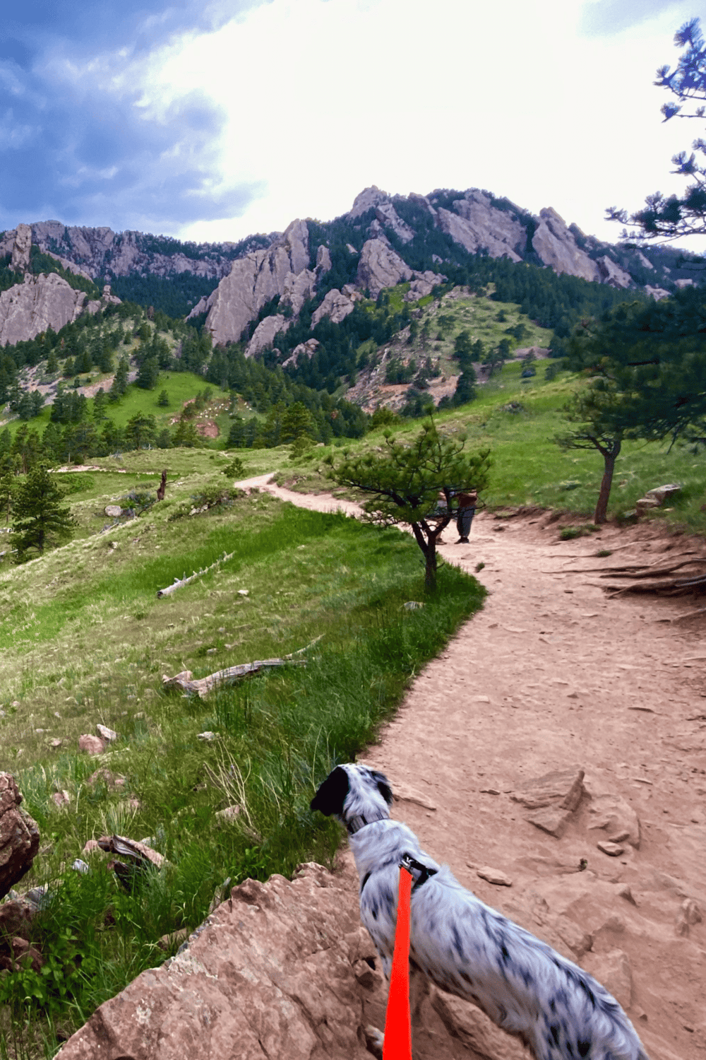 Breathtaking mountain landscape with hiking trail and dog on Quest for Directions outdoor adventure.