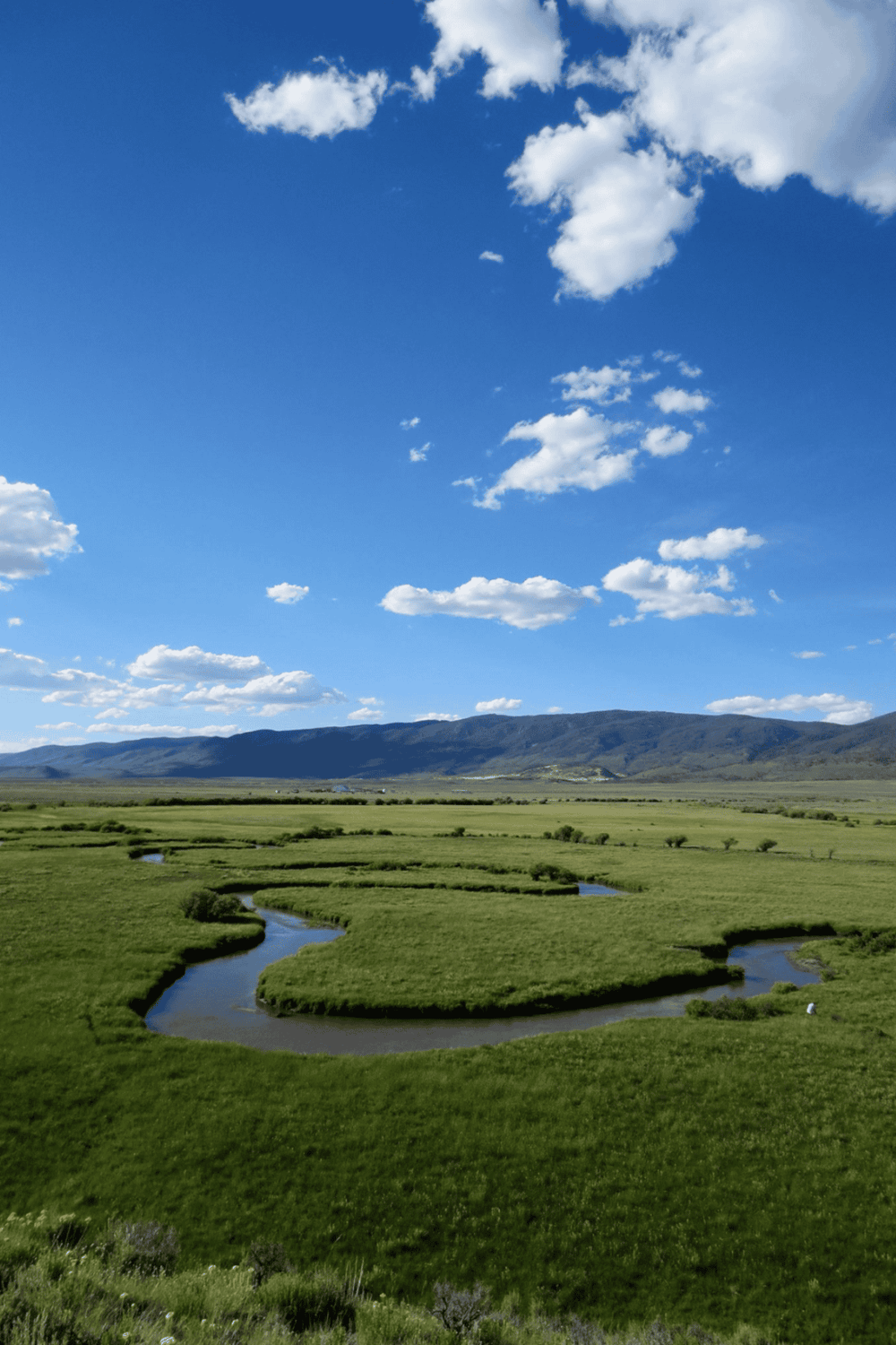 Serene river meanders through lush green plains under a bright blue sky with scattered clouds.