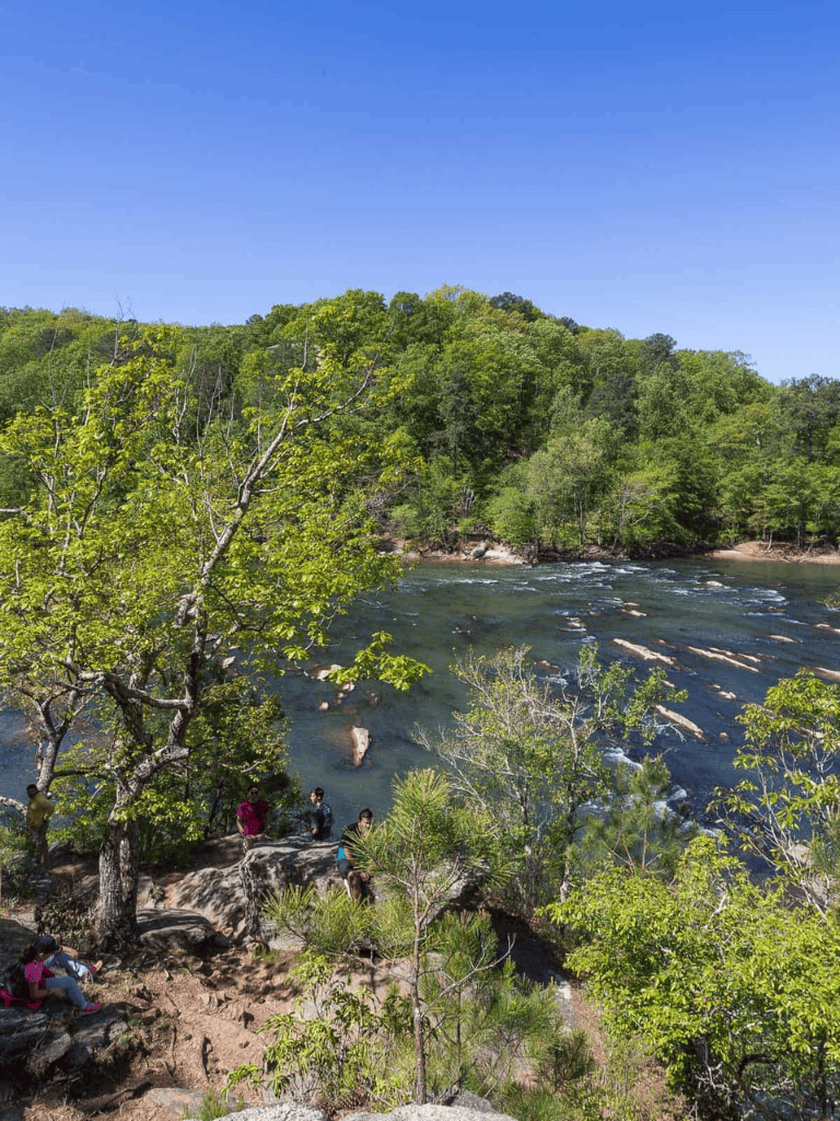 Serene river surrounded by lush green trees and clear blue sky in outdoor adventure destination.